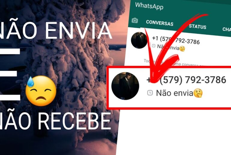 WhatsApp não envia foto